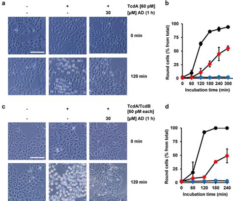 Full Article Exploring The Inhibitory Potential Of The Antiarrhythmic Drug Amiodarone Against