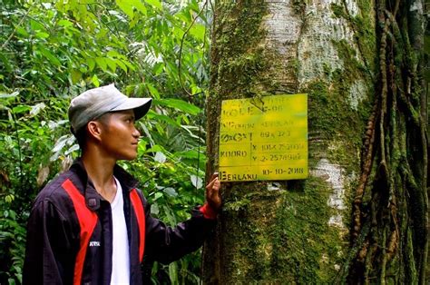 Desa Rantau Kermas Lampunyo Nyalo Rimbonyo Terjago