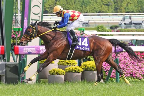 テーオーロイヤルが京都大賞典を回避 ジャパンcへ直行へ【次走報】（東スポ競馬）｜dメニューニュース（nttドコモ）