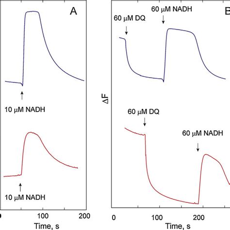 Fluorescence responses of Annine 6 ΔF 550 nm blue curves and