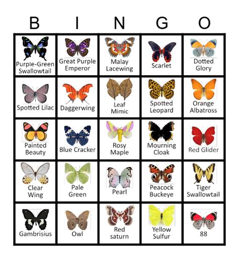 Butterfly Bingo Card