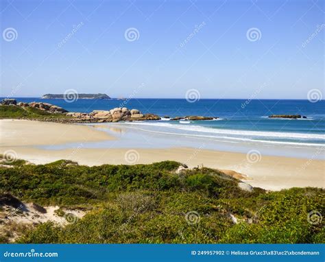 A View Of Beautiful Praia Da Galheta Galheta Beach In Florianopolis