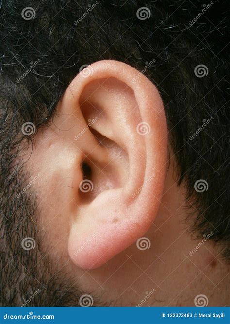 Healthy Side View Of The Ear Stock Image Image Of Beautiful Glasses