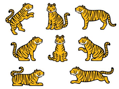 2900 Tiger Side View Stock Photos Pictures And Royalty Free Images