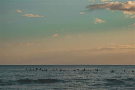 People on Beach during Sunset · Free Stock Photo