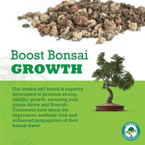 Bonsai Soil | Bonsai Tree Resource Center | Bonsai Tree Care Tips ...