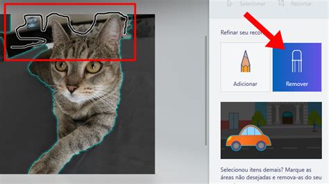 Como Recortar E Mudar O Fundo De Uma Foto No Paint D Imagens Techtudo