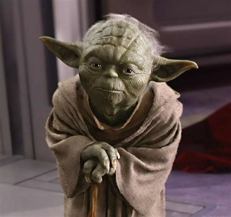 Star Wars Qui Tait Vraiment Le Meilleur Padawan De Ma Tre Yoda