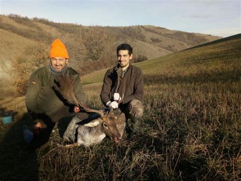 Auto Per La Caccia I Modelli Ideali Caccia Passione