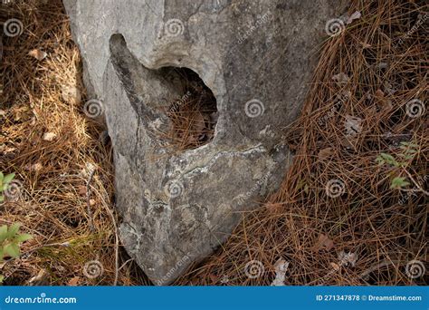 Une Grotte En Pierre En Forme De Coeur Photo Stock Image Du Automne