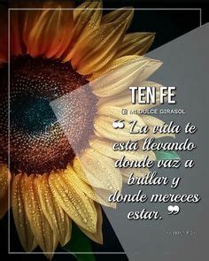 Girasoles On Pinterest