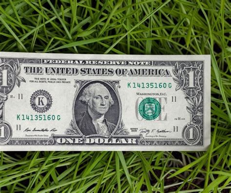 Things To Consider When Developing A Budget For Your Artificial Turf