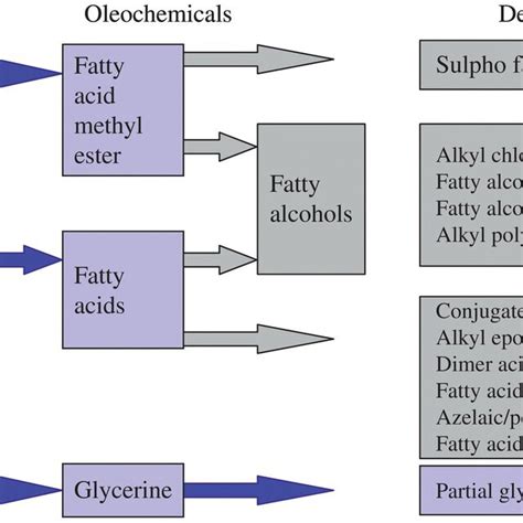 1 Production Scheme Of Fatty Acid And Its Derivatives Download