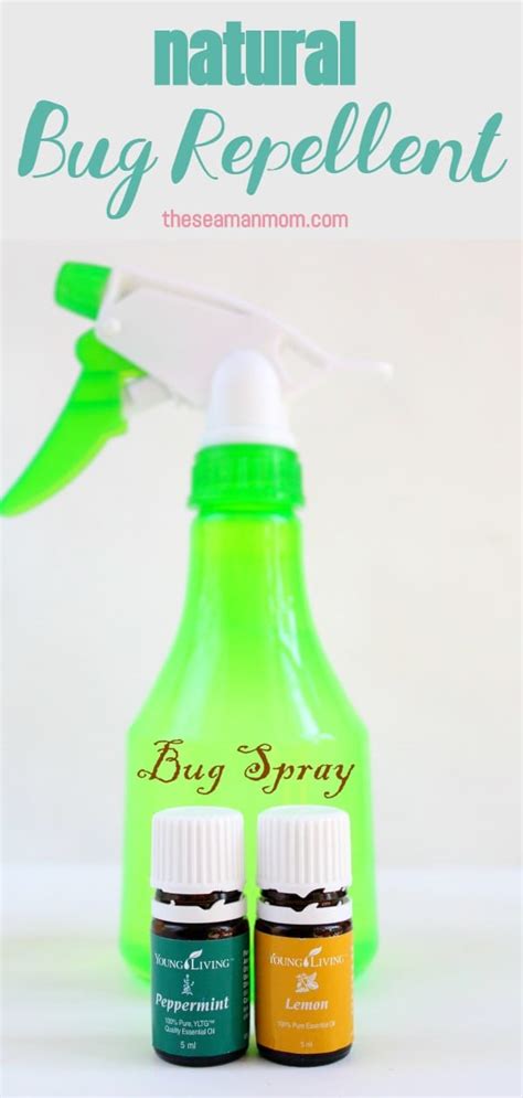 Homemade Bug Spray Recipe Made With All Natural Ingredients