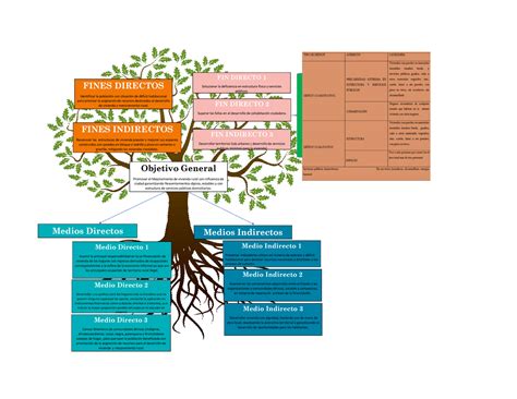 Arbol De Objetivos Especializacion Medios Directos Medios