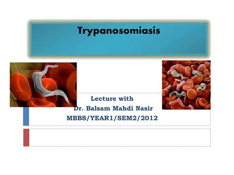 Ppt Trypanosomiasis Powerpoint Presentation Free Download Id9192350