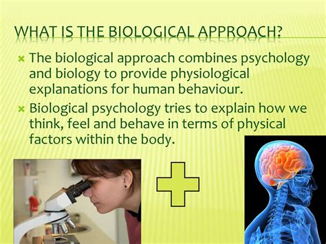 The Biological Approach Key Assumptions Ppt Download