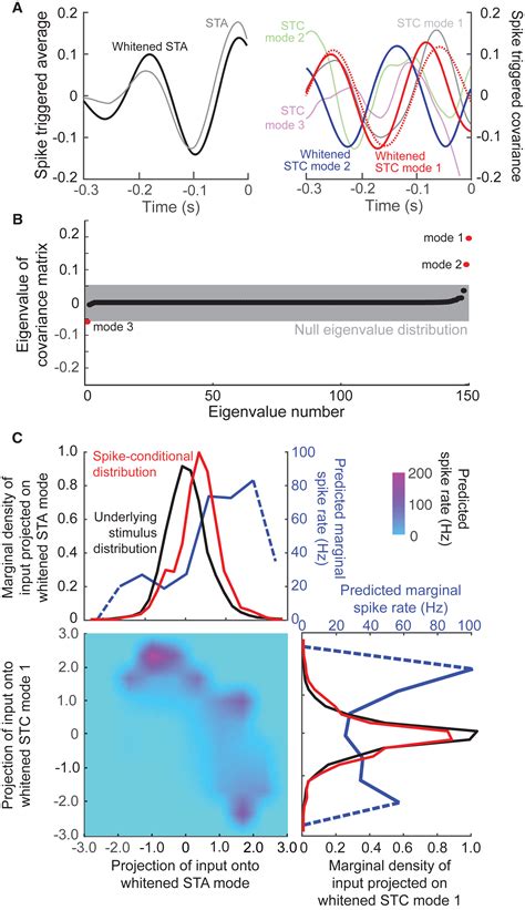 Analysis Of Neuronal Spike Trains Deconstructed Neuron