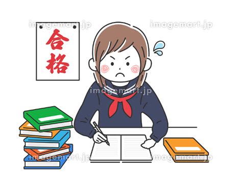 制服を着て、受験勉強する女子学生のイラスト [207012574] イメージマート