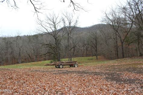 59.9 Acres of Land for Sale in Pall Mall, Tennessee - LandSearch