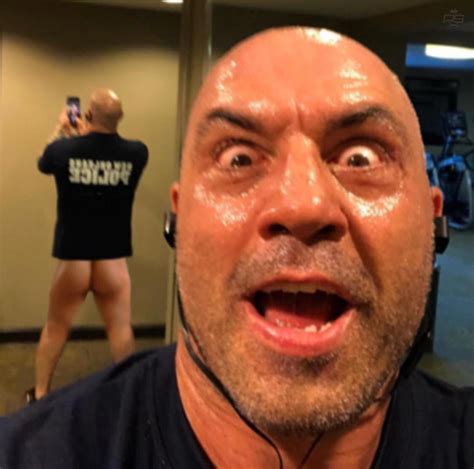 Post 3736431 Joe Rogan Fakes