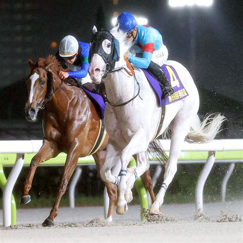 【羽田盃】白毛一族のアマンテビアンコが新生ダート3冠初戦v 川田将雅騎手「まずひとつ取ることができました」 2024年4月24日掲載