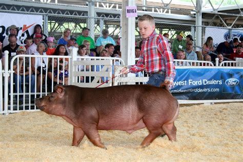 NSR Show Sale Results World Pork Expo Junior Duroc Barrow Show Results