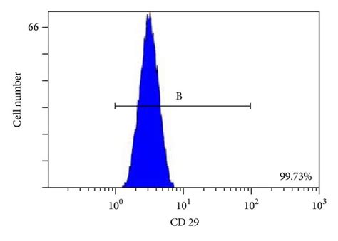 Flow Cytometric Analysis Of Cspcs Cspcs Were Labelled For Msc Surface