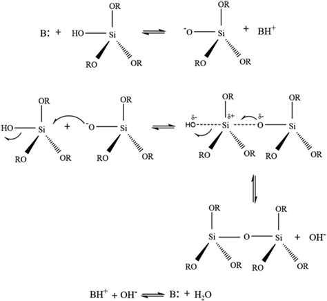 Mechanism Of Teos Precursor Condensation In Base Catalyzed Reactions