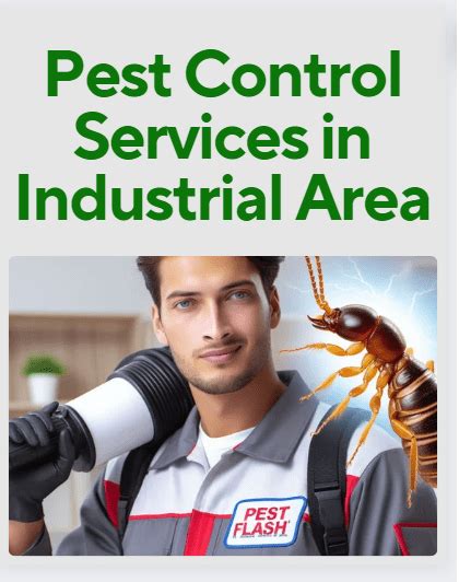 Top Pest Control In Upper Hill Nairobi 2024