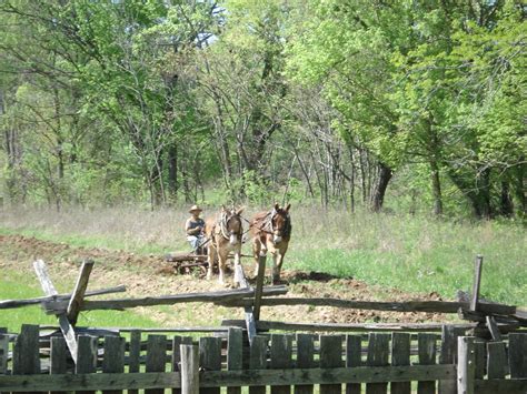 Homeplace 1850s Working Farm And Museum Spring Time Is Alw Flickr