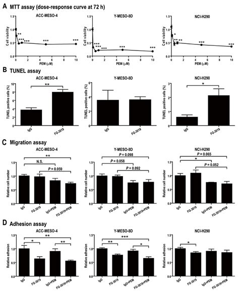 In Vitro Effects Of Fg 3019 On Mesothelioma Cell Lines In Combination