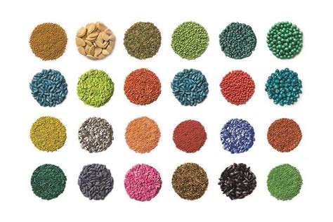 Seed Pelleting For Efficient Sowing And Support Integrated Plant