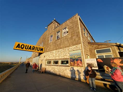 SEASIDE AQUARIUM - 308 Photos & 234 Reviews - 200 N Prom, Seaside ...