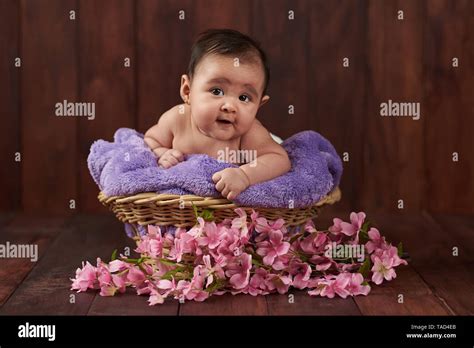 Details Background For Baby Girl Photoshoot Abzlocal Mx