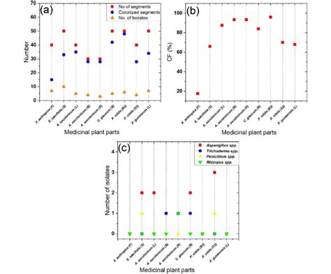 The Isolation Of Endophytic Fungi Among The Selected Medicinal Plants Download Scientific