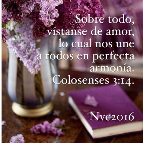 Colosenses 3 14 Sobre todo vístanse de amor lo cual nos une a todos