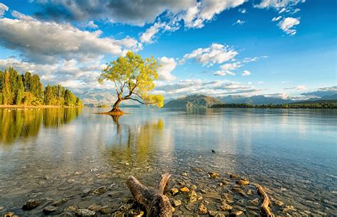 Hintergrundbilder Sonnenlicht Bäume Landschaft Meer Wasser Natur