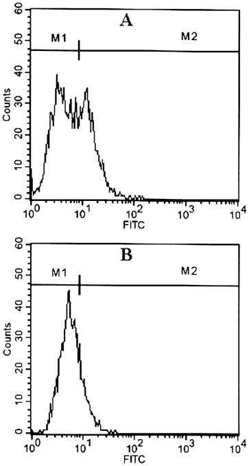 Role Of Very Late Antigen Vla In Myelin Basic Protein Primed T