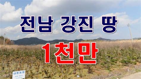 부동산 경매물건 전남 강진군 작천면 내기리 땅 경매 물건 Youtube