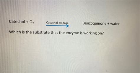 Solved Catechol O Catechol Oxidase Benzoquinone Water Chegg