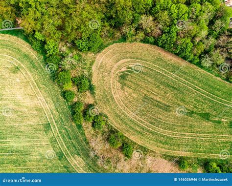 Aerial Drone View Of Field Trees And Forest In Agriculture Land Top