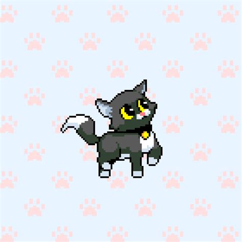 Animated Cat Walking Gif