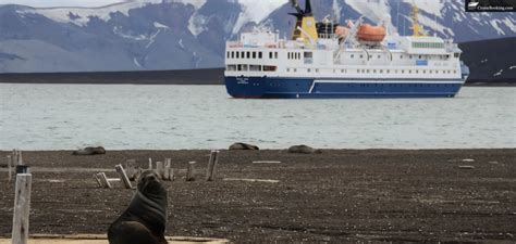 What is the best month to cruise to Antarctica? – CruiseBooking.com