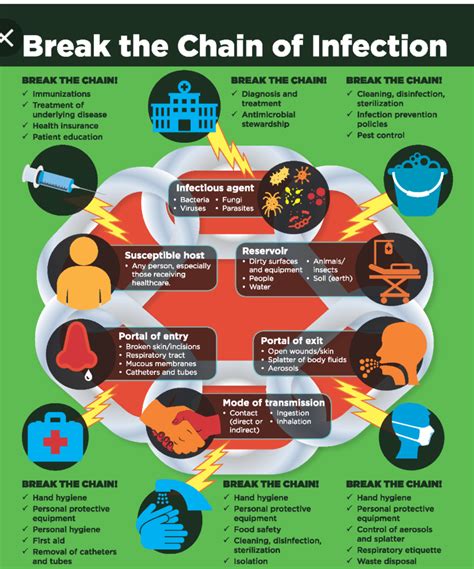 Chain of Transmission (Infection) Diagram | Quizlet