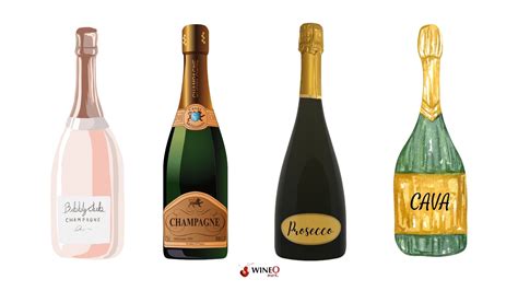 12 Best Champagne for Mimosas: A Guide to Bubbly Brunch Bliss