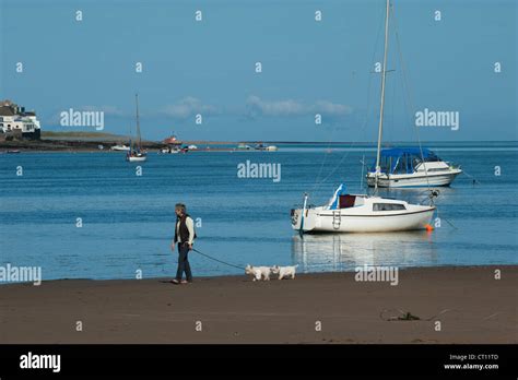 Devon Appledore Hi Res Stock Photography And Images Alamy