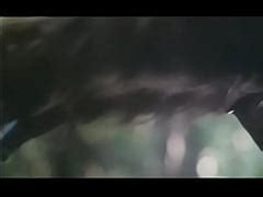 Walerian Borowczyk Le Bete Free Mobile Porn Videos IPornTV