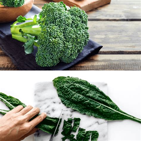 Broccoli Vs Kale Which Is Better Five Journeys