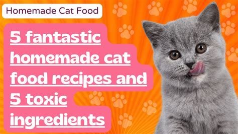 Homemade Cat Food 5 Fantastic Homemade Cat Food Recipes And 5 Toxic